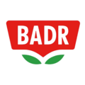 بدر