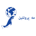 استخدام مه پروتیین