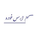 ارس خودرو پایا