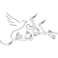 نوآوران چکاوک شهر