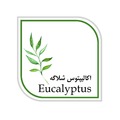 استخدام کالای چوب اکالیپتوس