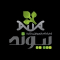 آسیب شناسی و ژن شناسی پیوند شیراز