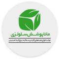 استخدام کارتن مانا