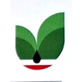 استخدام پالایش نفت سینا شمال