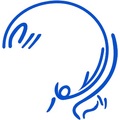 موسسه زرین نگار راستین