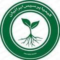 استخدام کیمیا پرسیس ایرانیان