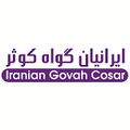 استخدام ایرانیان گواه کوثر
