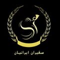 استخدام موسسه بین المللی سفیران آذر مهر ایرانیان