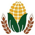 توسعه غلات اسپادانا