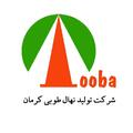 تولید نهال طوبی کرمان