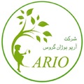آریو بوژان گروس