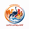لوتوس پروتئین بنیامین