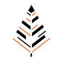 کارا پایدار هامون