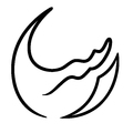گروه معدنی رسا