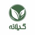 رستوران تی گیلانه جهت تکمیل کادر خود از یک انباردا... - رستوران تی گیلانه