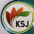 استخدام کاوشگر سپهر جوان