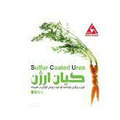 استخدام کیان ارژن