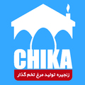 استخدام صنایع زنجیره ای مرغ تخم گذار کاسپین طلایی چیکا