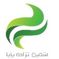 شمین نژاده پایا