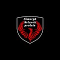 هایپر پروتئین سیمرغ ستاره