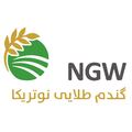 گندم طلایی نوتریکا