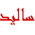 گروه صنعتی سالید