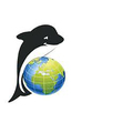 استخدام دلفین مبدل رادیاتور