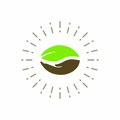 قهوه طاهر