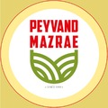 پیوند مزرعه دشت
