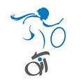 استخدام آنو