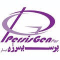 استخدام PersisGen