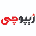 استخدام زیپوچی