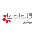 صنایع گلدیران پیشرو