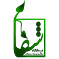 درمانگاه شفا - رومشکان